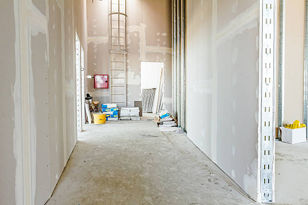 Best Drywall Sanding and Smoothing  in St John, IN