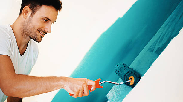 Best Drywall Removal and Disposal  in St John, IN